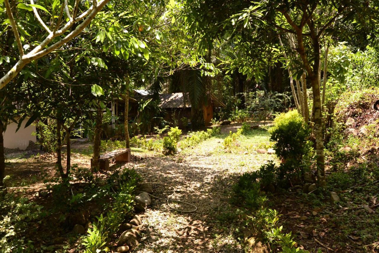 Eco-Logic, Resort For Charity Phato Luaran gambar
