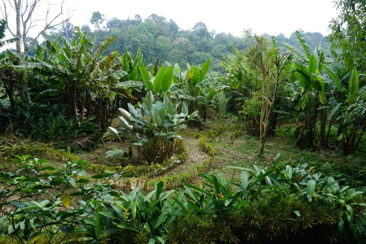 Eco-Logic, Resort For Charity Phato Luaran gambar