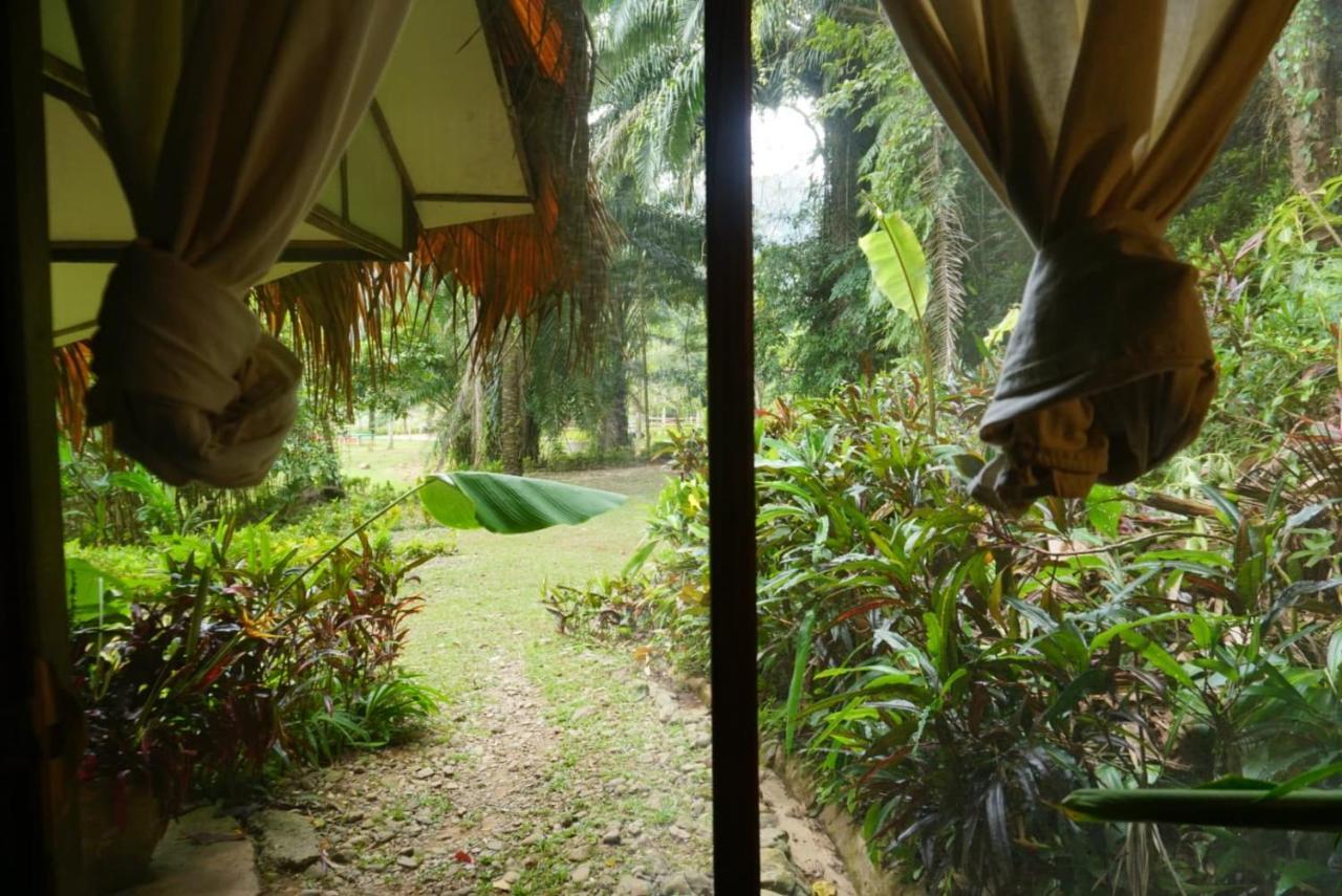 Eco-Logic, Resort For Charity Phato Luaran gambar